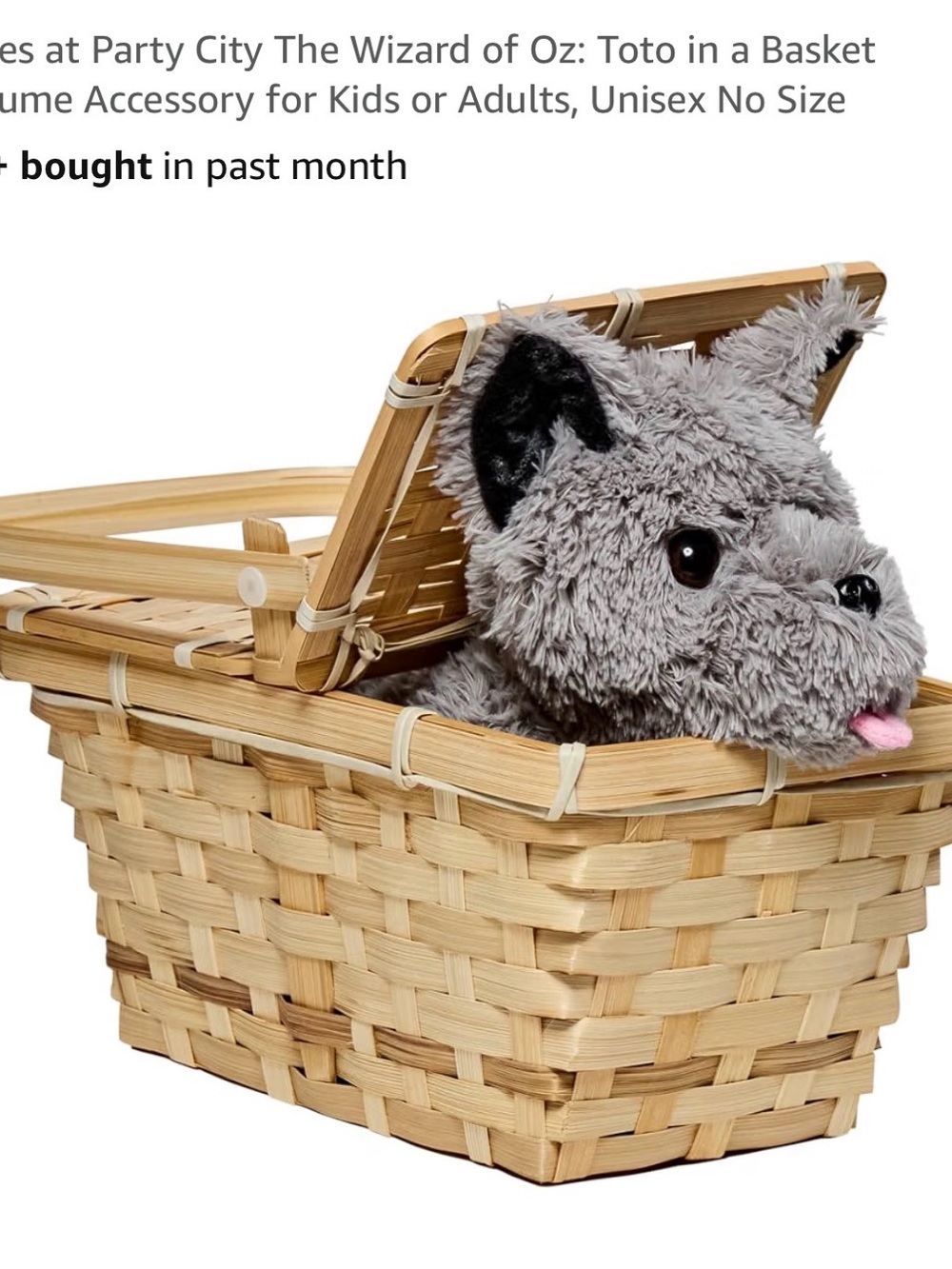 Plush Grey Toto Dog in Woven Basket - Unbranded